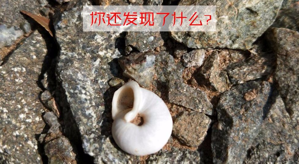 212801jln015xh383c45cn.jpeg
