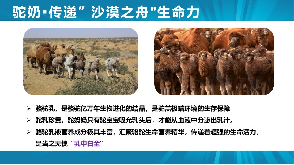幻灯片3.JPG