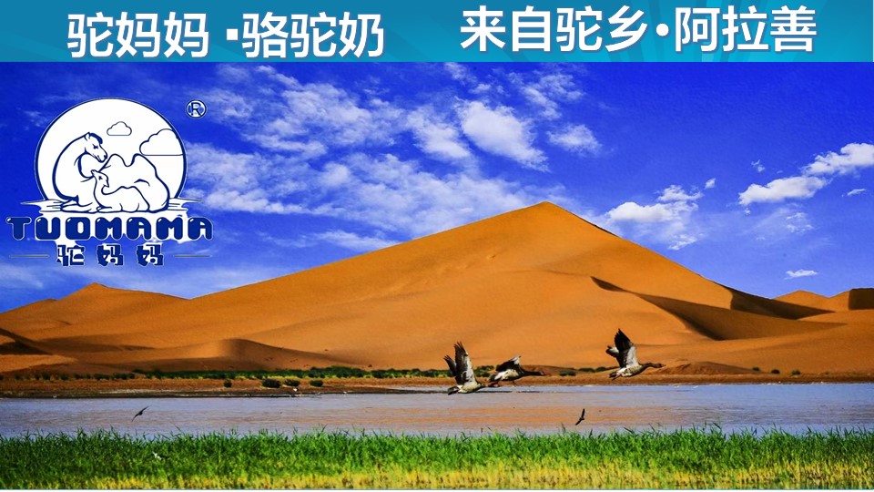 幻灯片1.JPG