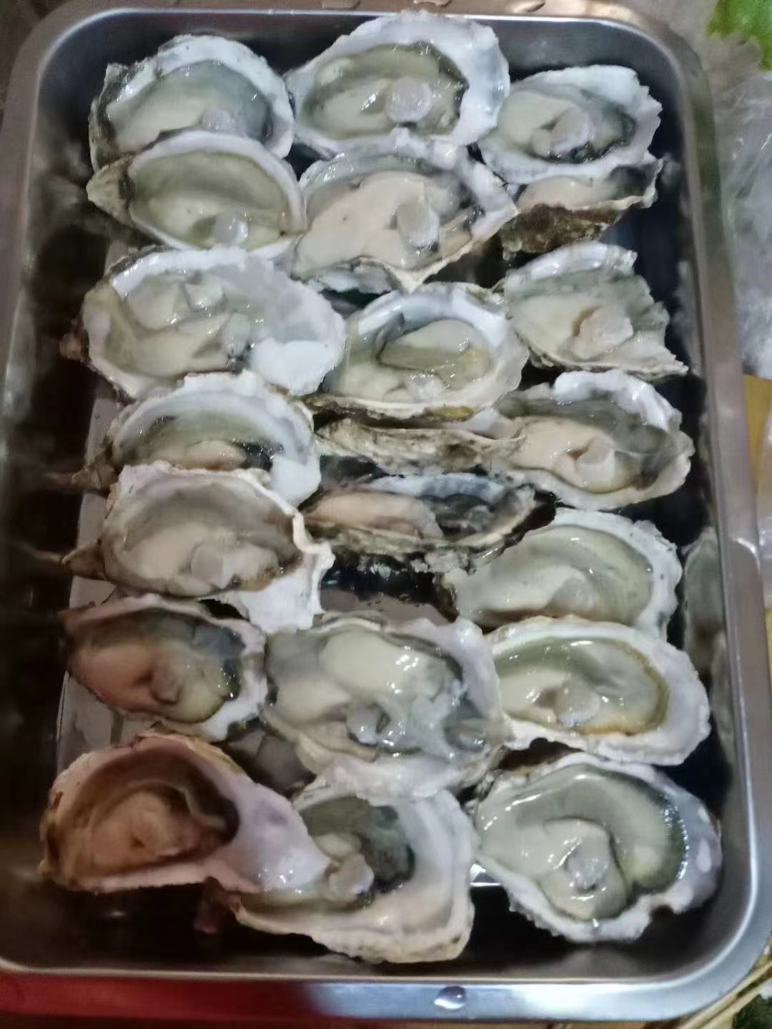 微信图片_20230817205619.jpg