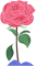 102138a1wzfwnwgwwg1kjw.png